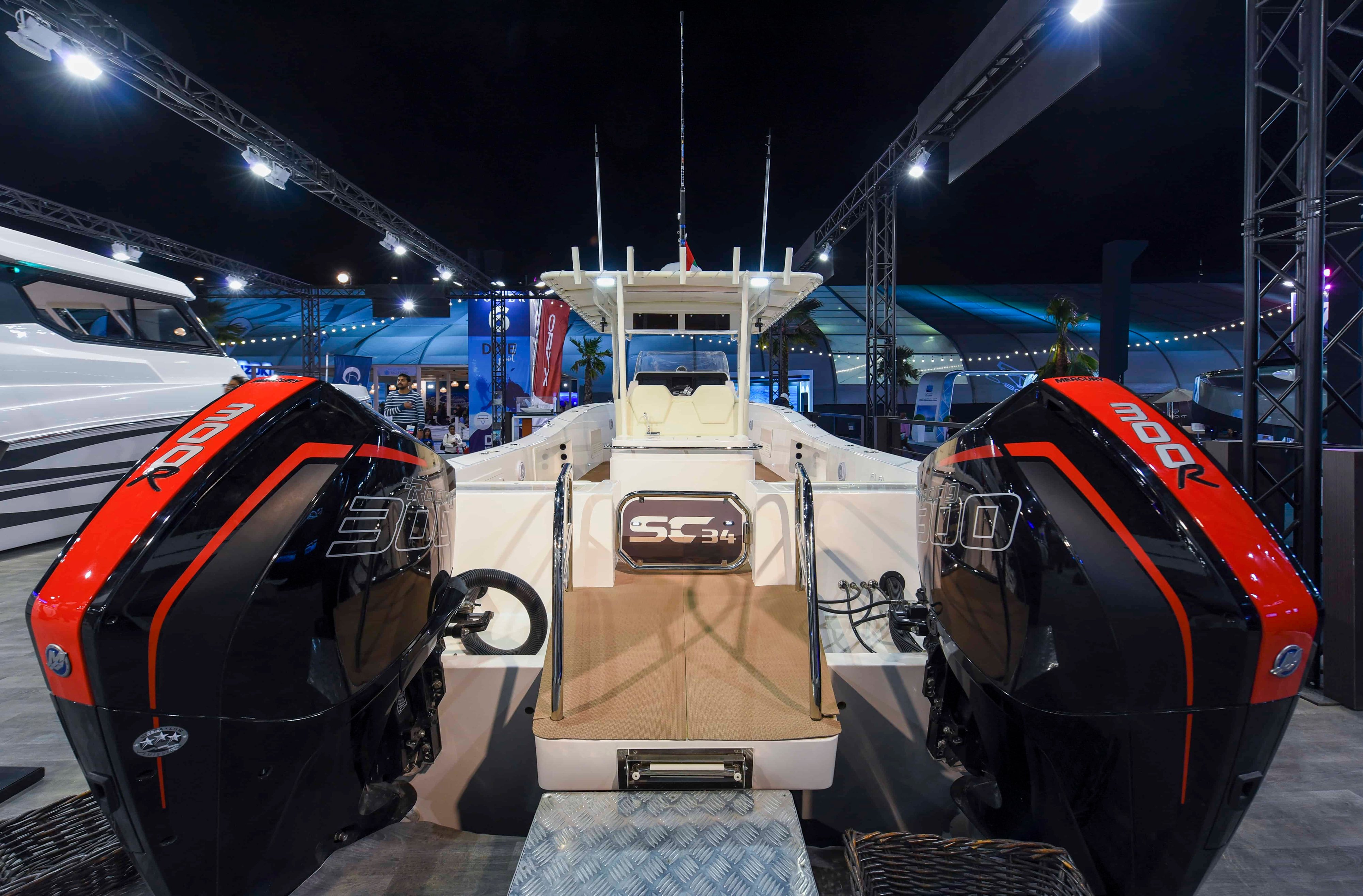 SilverCat 34CC (1)_1